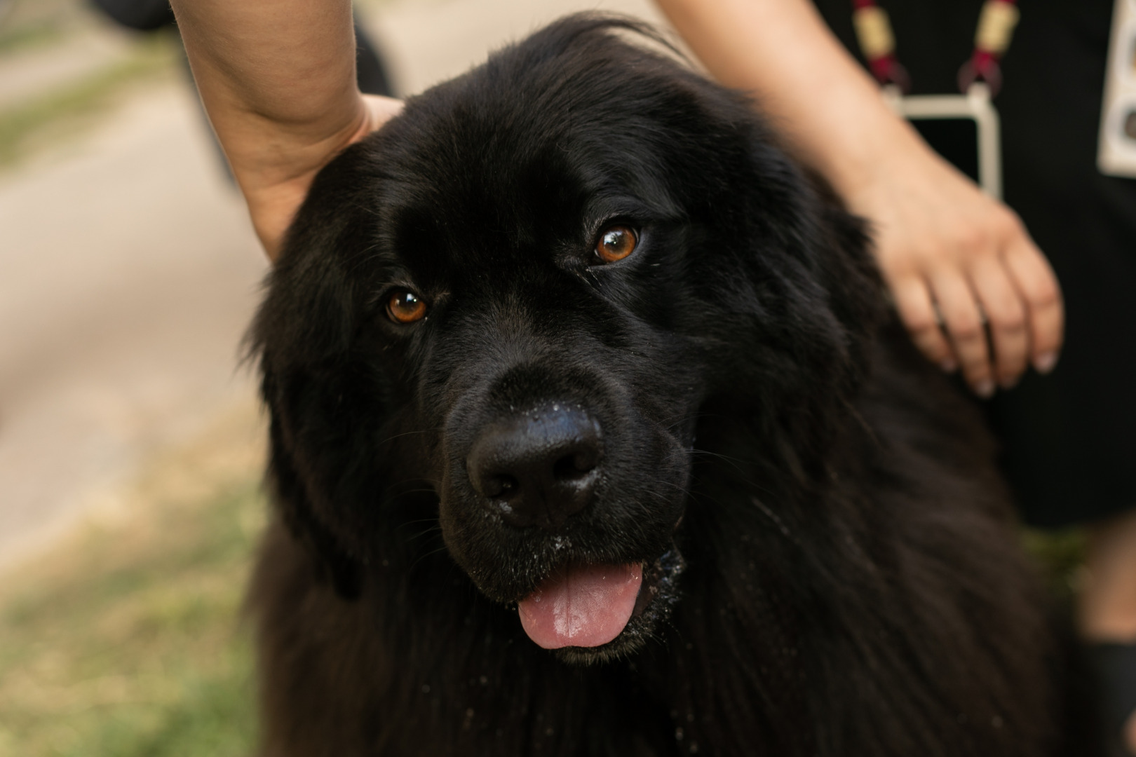 Фотограф для фотосессии, фотография от 14.10.2025