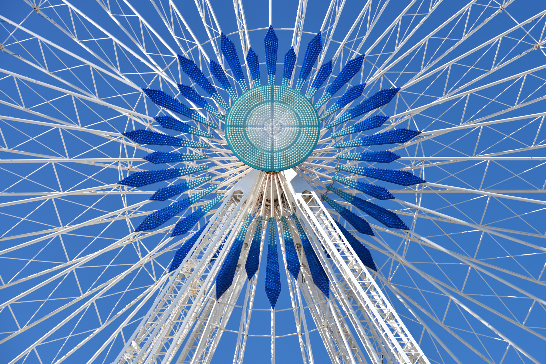 Железный цветок | foto.by фото.бай