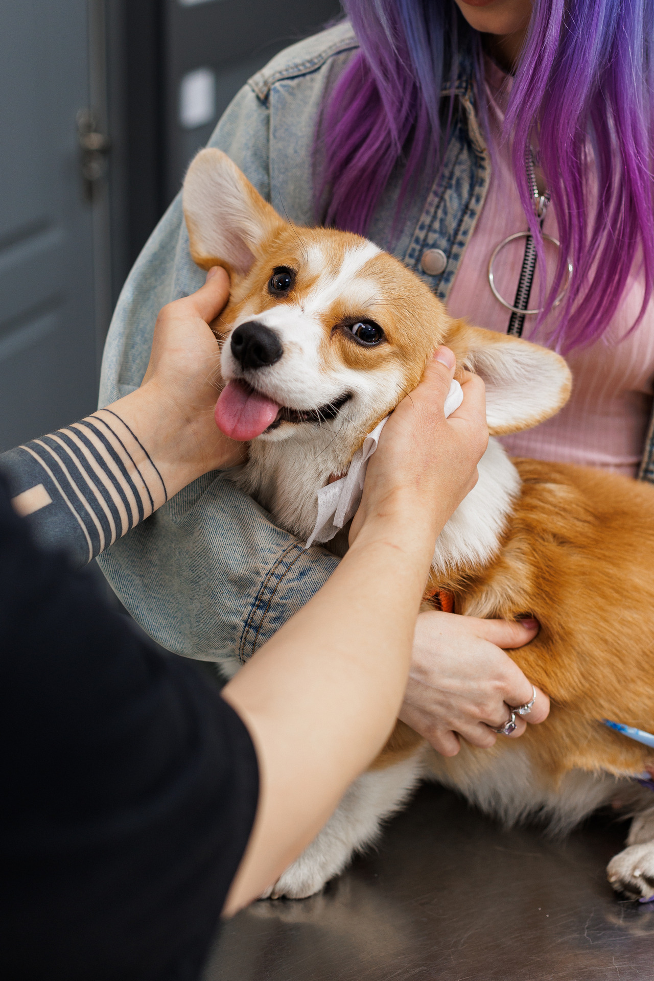 Фотограф Михаил и Елизавета Лукашевич, фотография от 16.01.2026