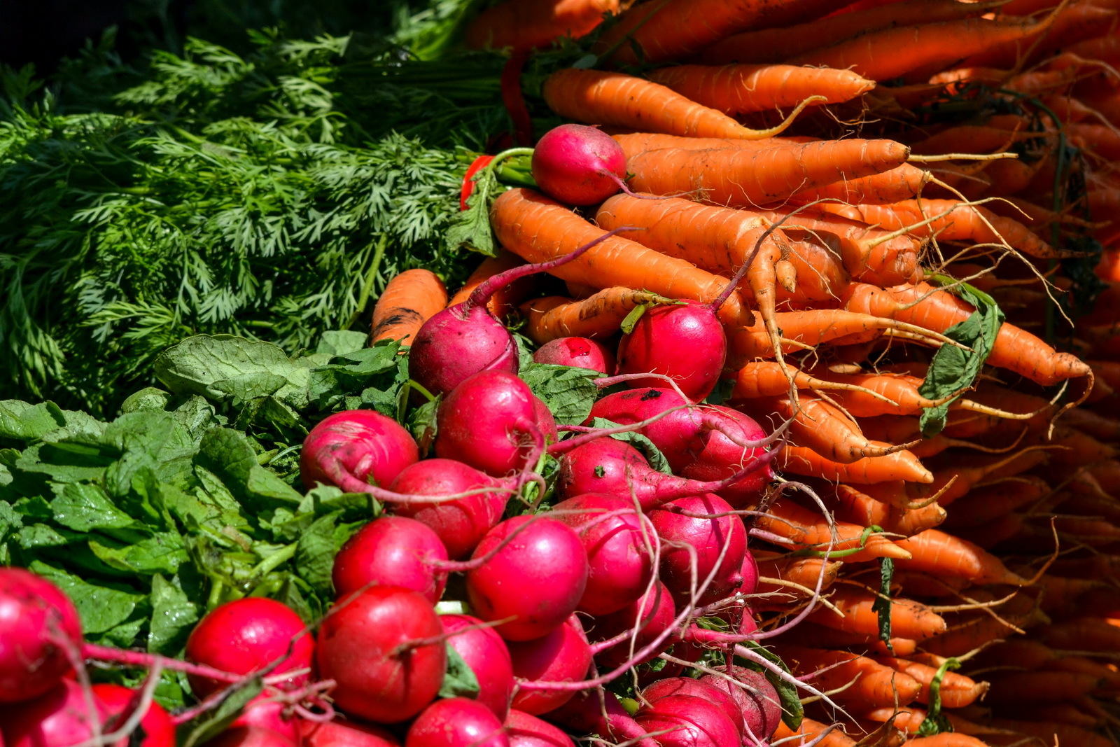 *** | Фотограф Andrei Savitsky | foto.by фото.бай