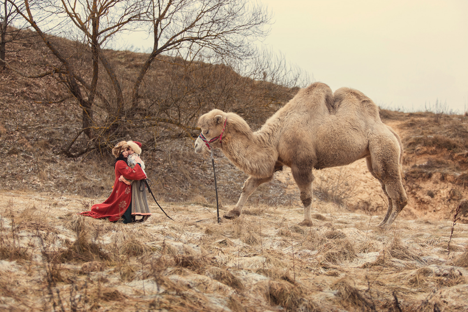 Анна Ликтаравичене - свадебный фотограф, семейный фотограф, фотограф беременных в городе Минск, Березино, Мядель, фотография от 03.03.2019