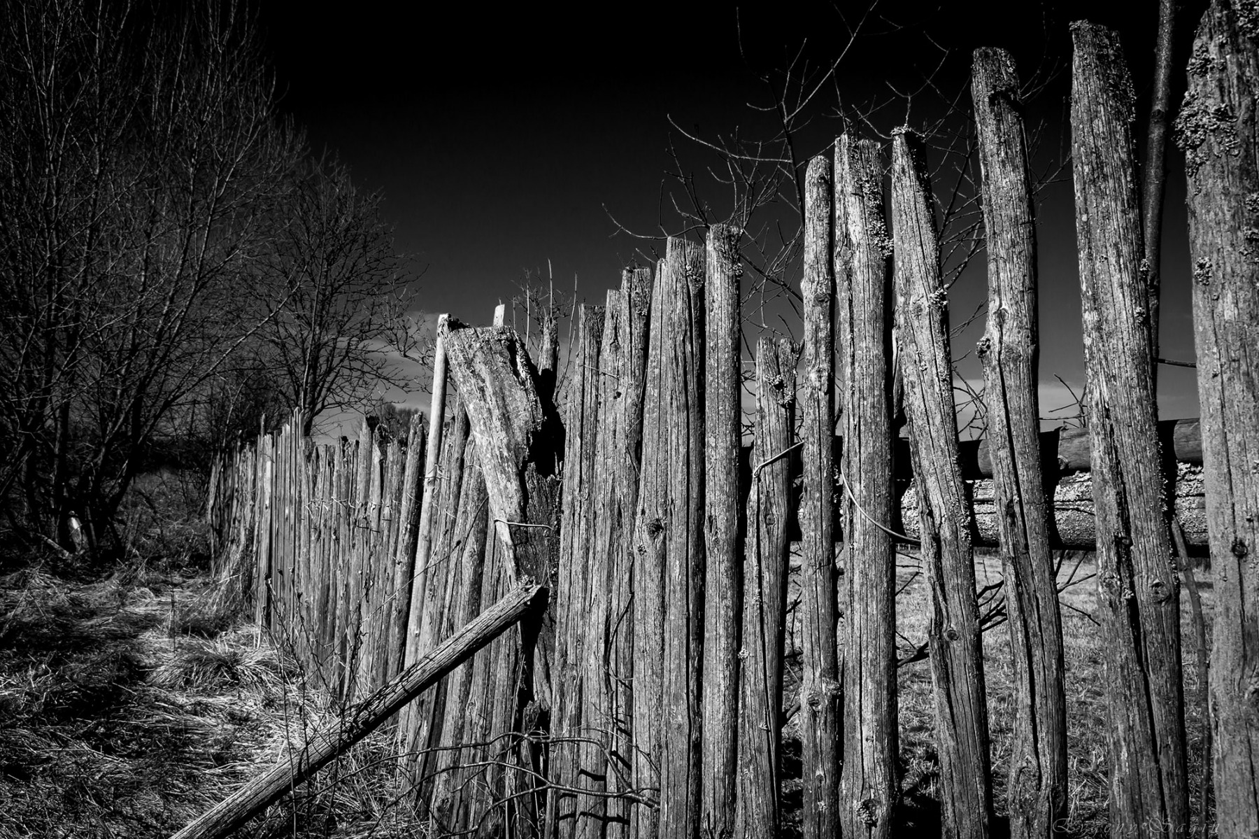 Агония сельских околиц | Фотограф Яўген Sagin | foto.by фото.бай
