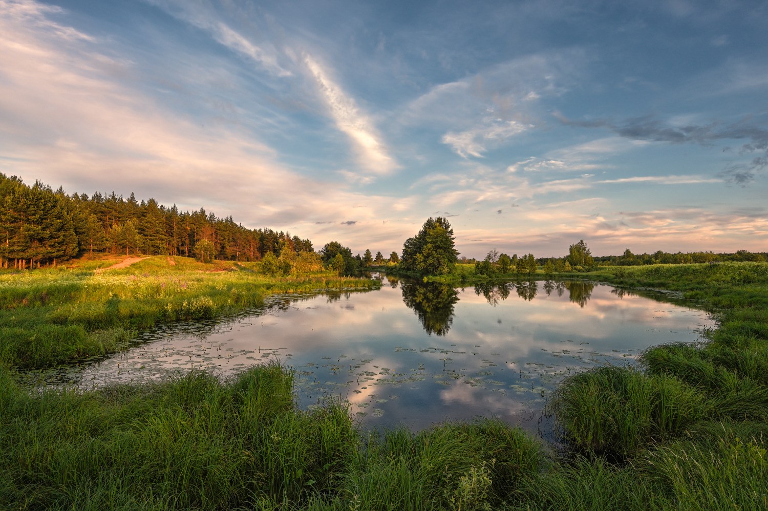 вечер у тихой заводи | Фотограф Виталий Полуэктов | foto.by фото.бай