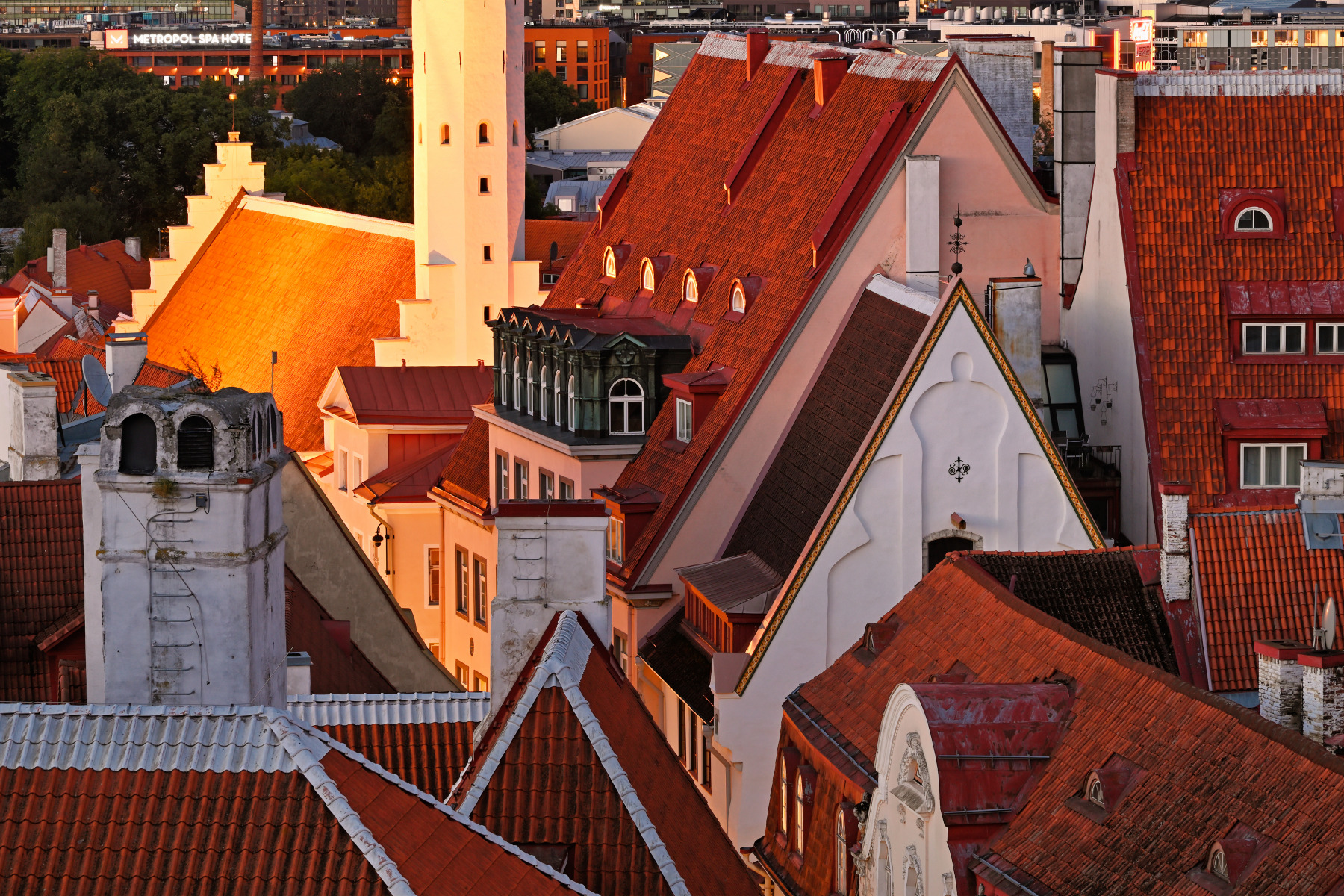 Крыши старого города | foto.by фото.бай