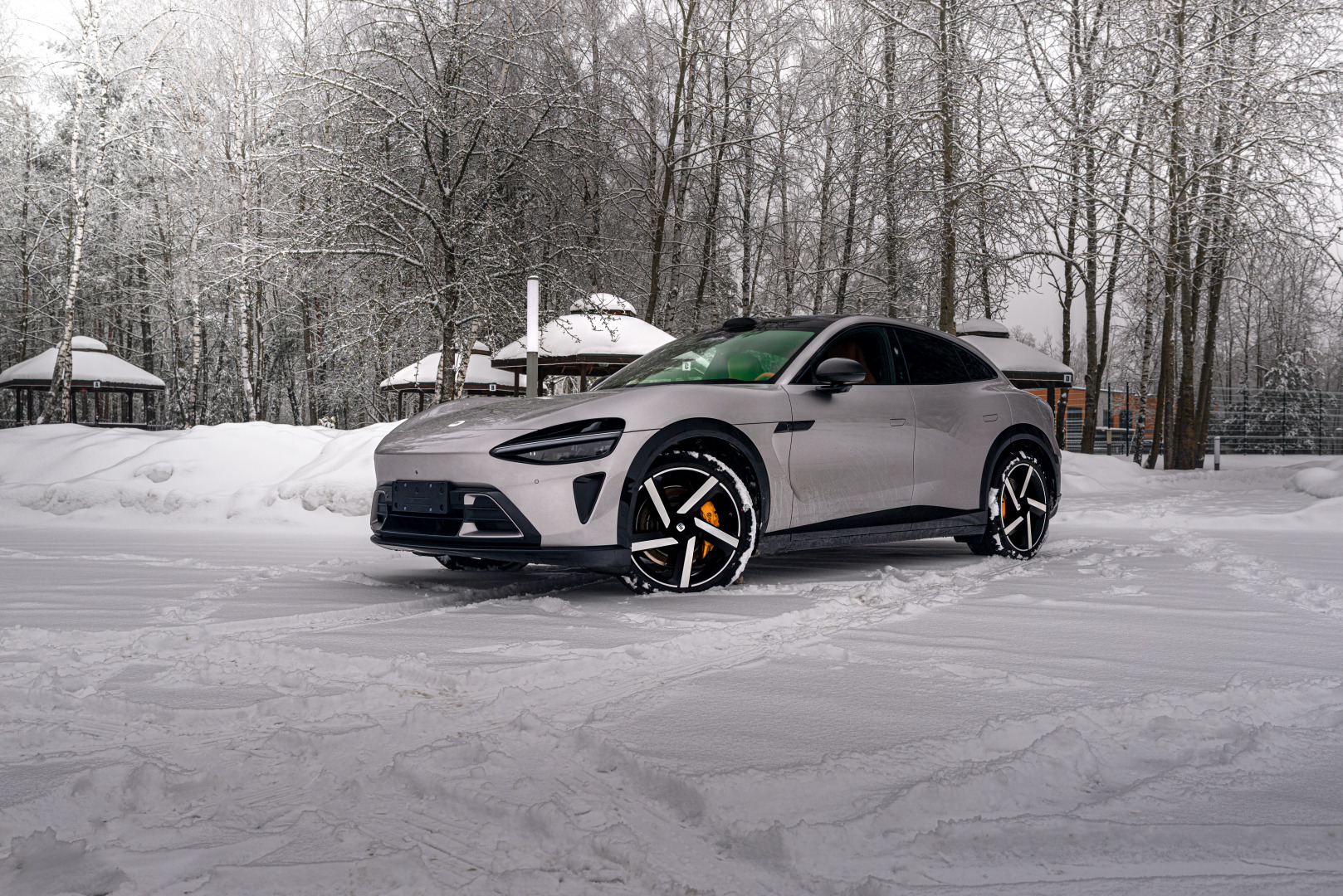 Фотограф Дмитрий Цыганков, фотография от 29.01.2026