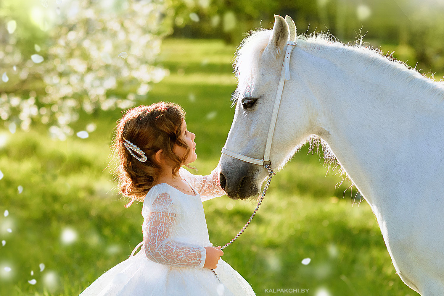 портрет | foto.by фото.бай