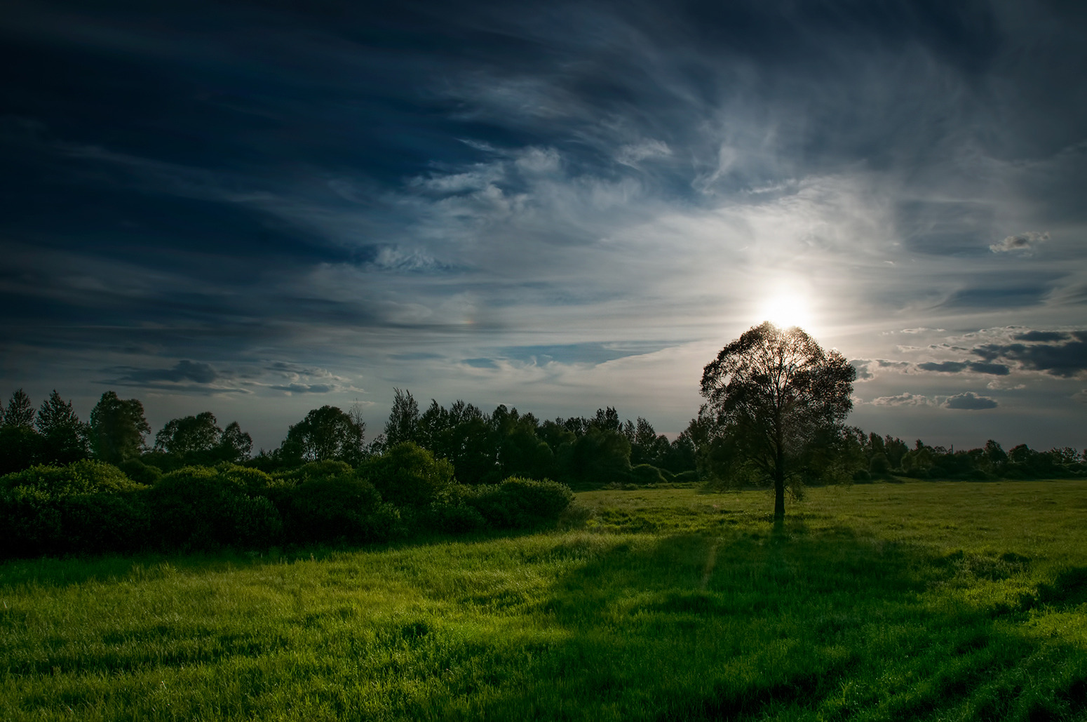 Один в поле | Фотограф Александр Шатохин | foto.by фото.бай