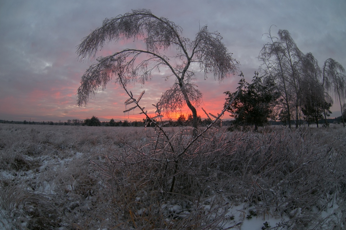 Зимний вечер | Фотограф Артур Язубец | foto.by фото.бай