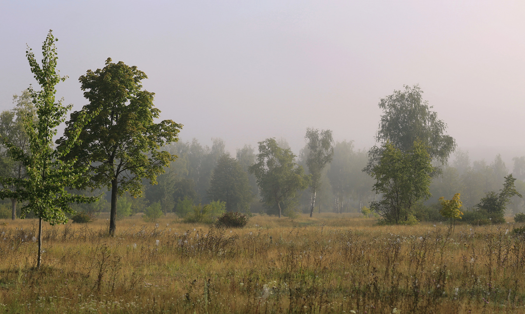 Лето на исходе | Фотограф Александр Задёрко | foto.by фото.бай