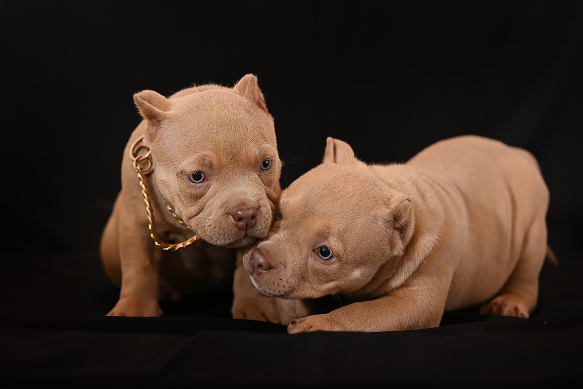 На модерацию | Фотограф Сергей Клеменок | foto.by фото.бай