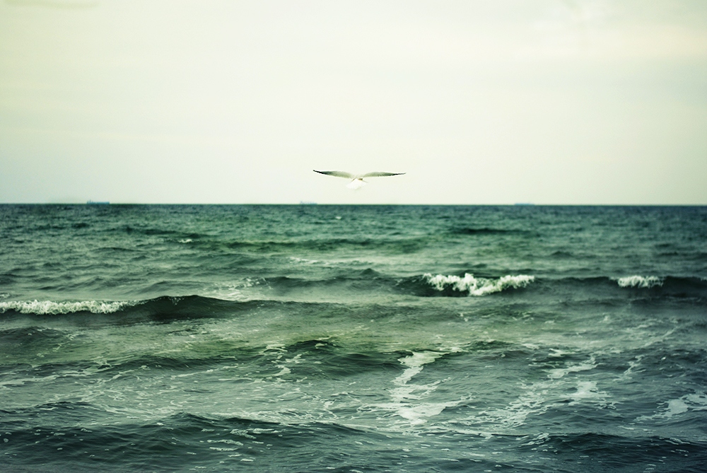 осеннее море... | Фотограф Мария Сонг | foto.by фото.бай