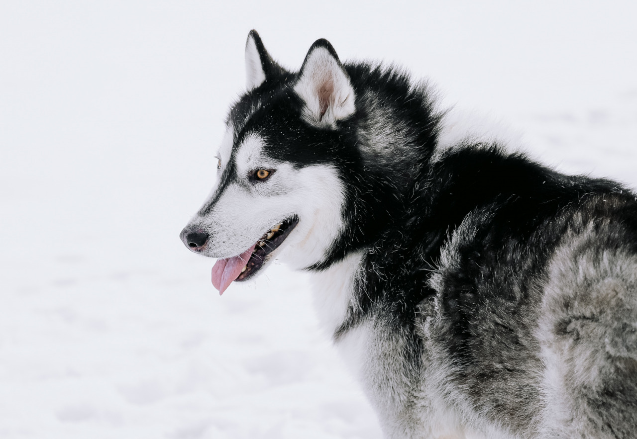 Фотограф в Минске - семейный, свадебный, репортажный фотограф. Фотосъёмка крещения, дня рождения, юбилея, венчания, корпоратива в Минске., фотография от 18.02.2026