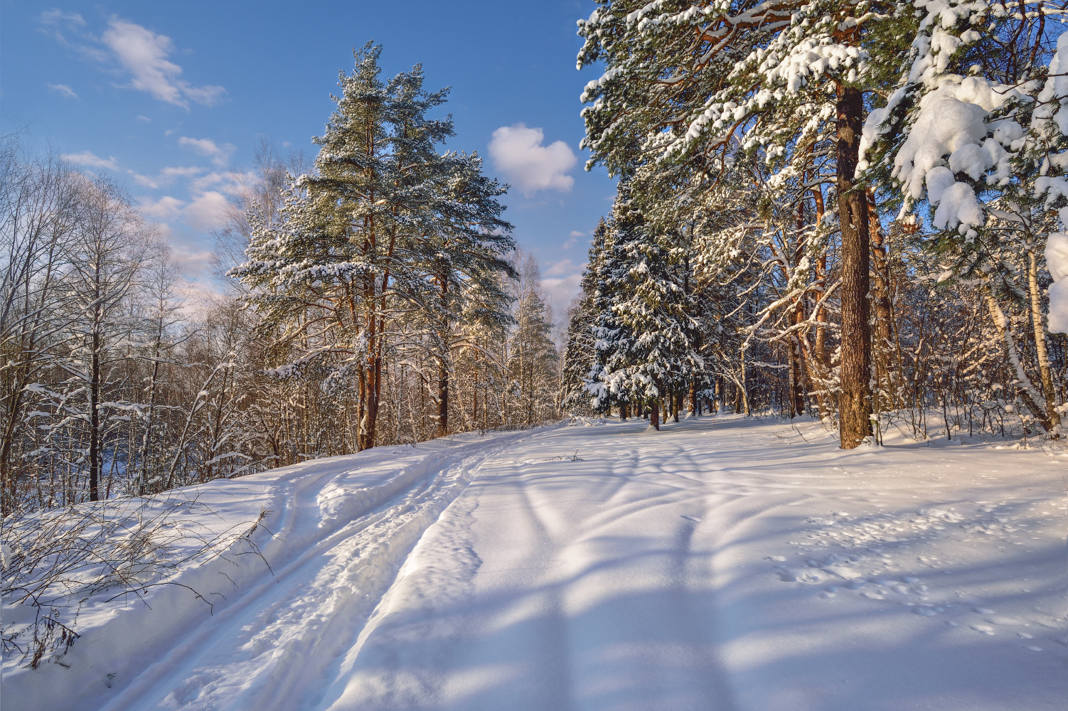зимняя дорожка | Фотограф Виталий Полуэктов | foto.by фото.бай