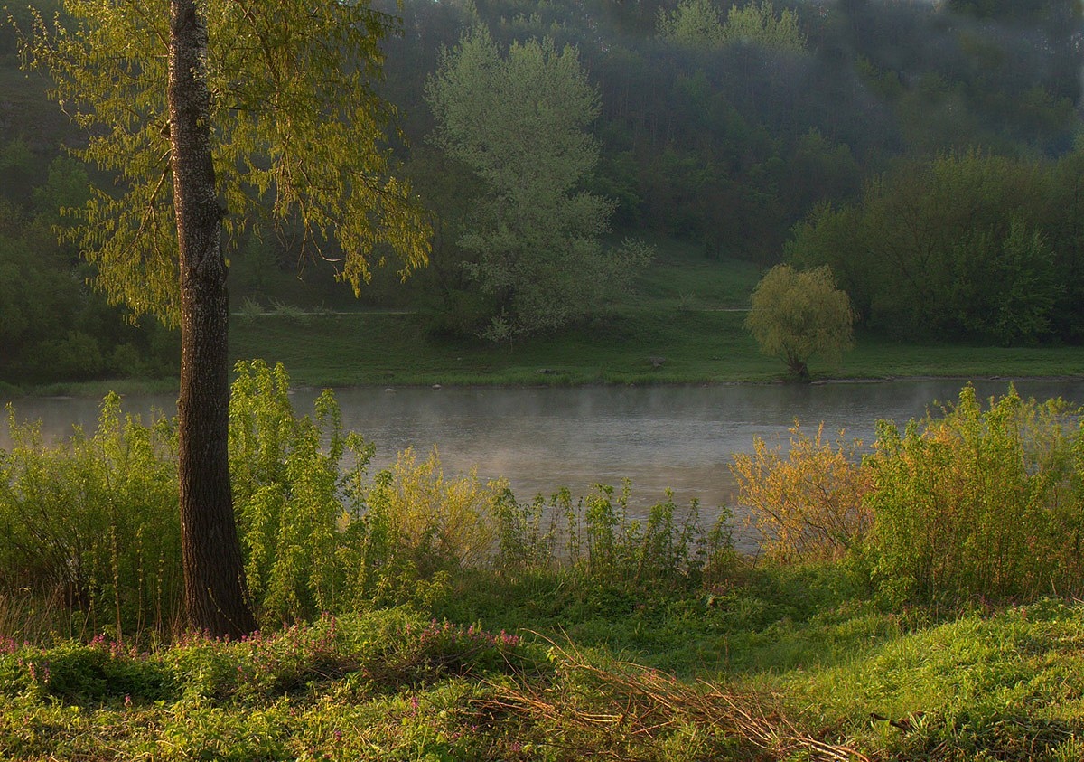 Возле тихой воды. | Фотограф Александр Игнатьев | foto.by фото.бай