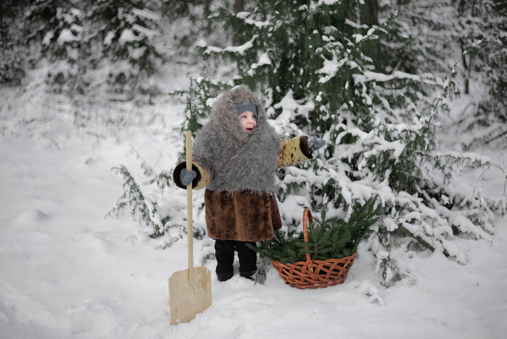 Фотограф Юлия Пигарева, фотография от 26.01.2022