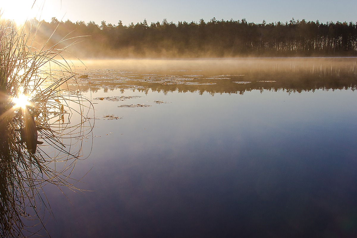 Лучик в озеро упал | Фотограф Александр Митрахович | foto.by фото.бай