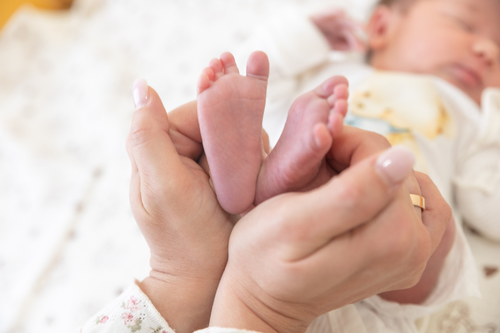 Фотограф Оксана Ткаченко, фотография от 12.02.2026