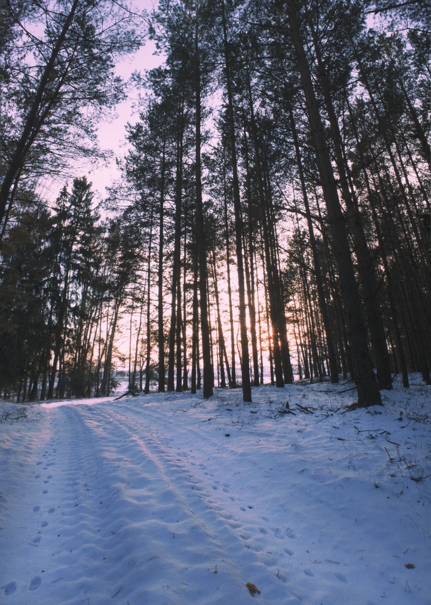 Зима - это здорово! | Фотограф dydik_98 | foto.by фото.бай