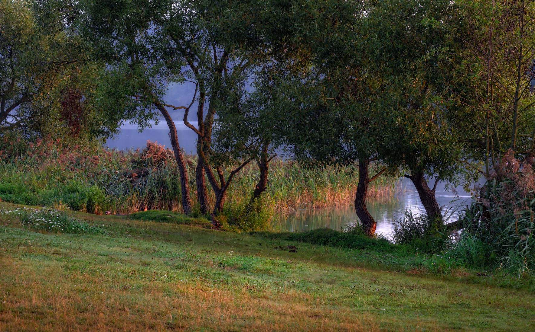 Утро на берегу озера | Фотограф Сергей Шабуневич | foto.by фото.бай