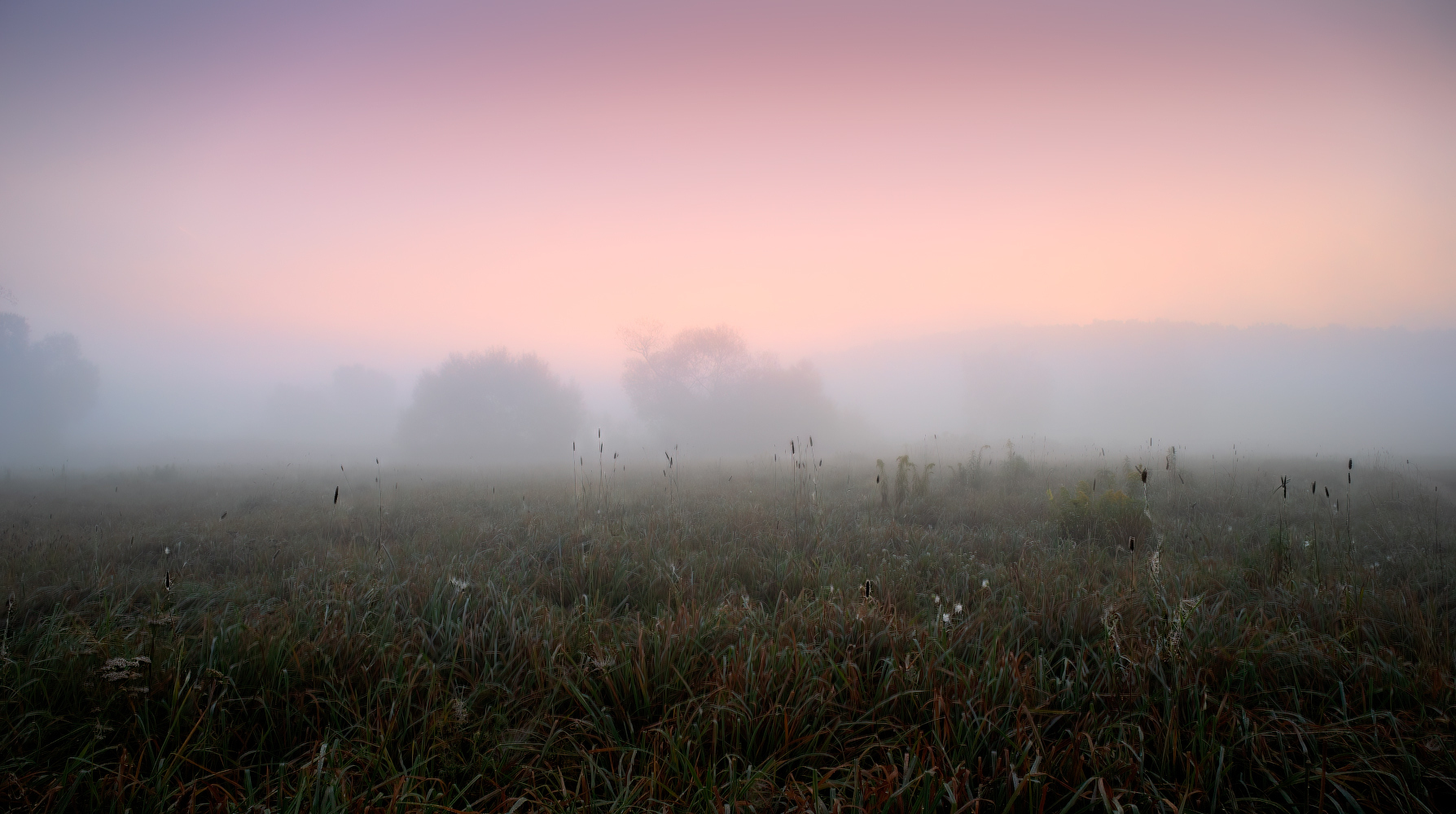 Туман в поле | Фотограф Сергей Шабуневич | foto.by фото.бай