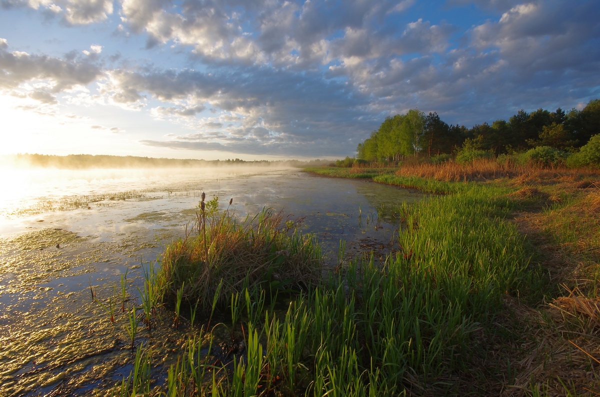Рассвет у озера | Фотограф Сергей Шляга | foto.by фото.бай