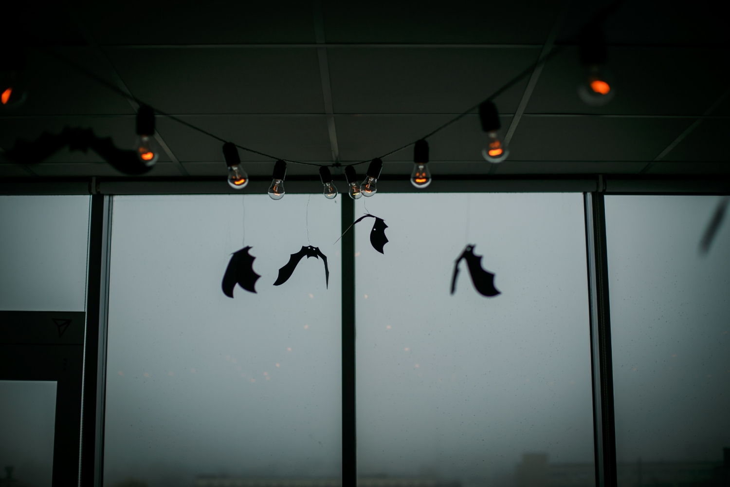 Фотограф Борис Карасик, фотография от 02.08.2020