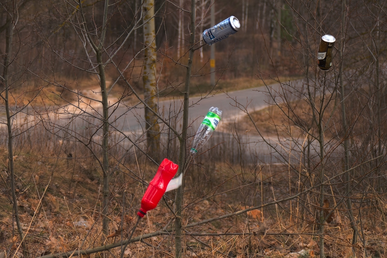 По следам лесных тварей (читайте описание) | Фотограф Александр Чиж | foto.by фото.бай