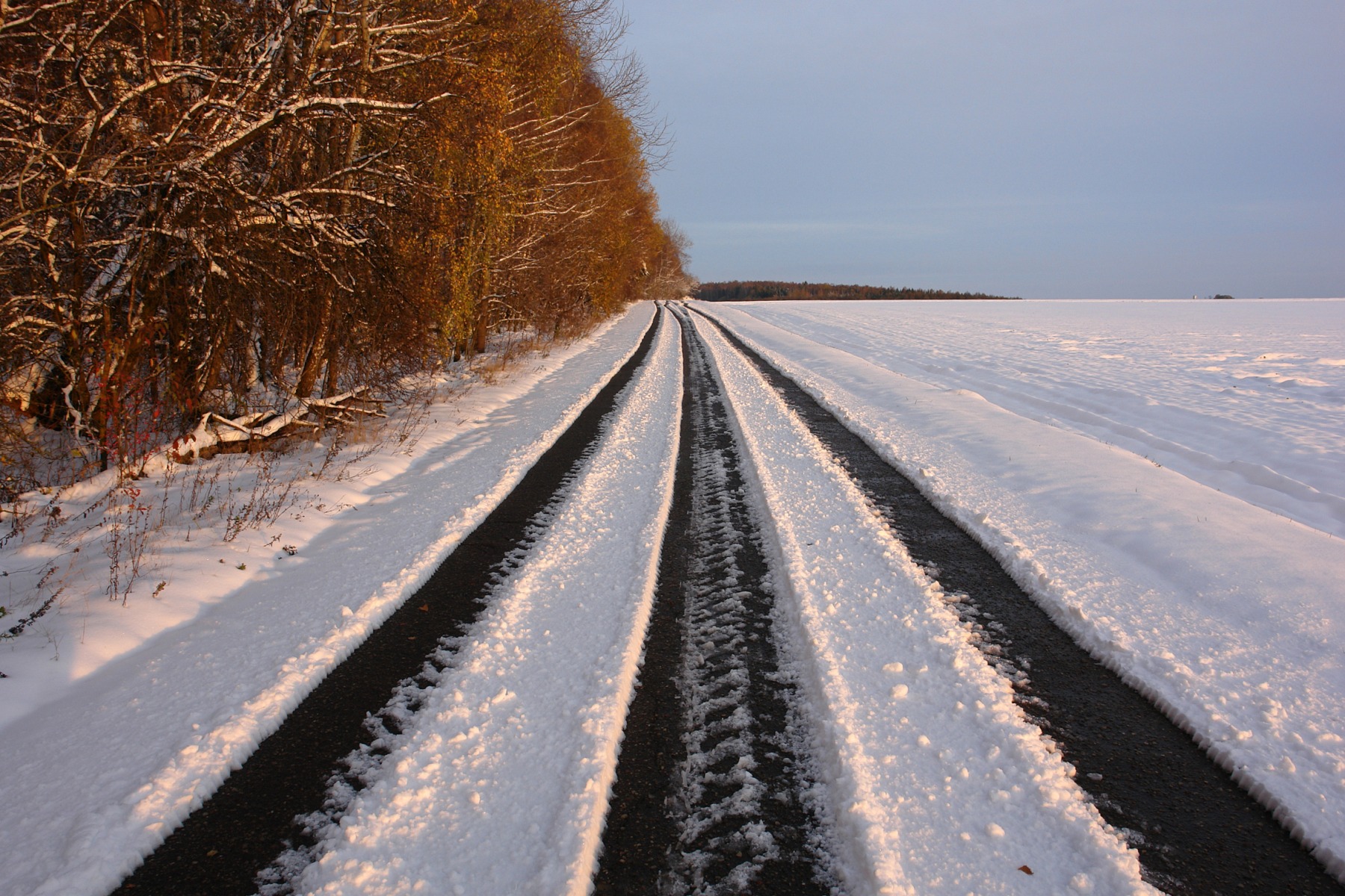зимняя дорога | Фотограф Сергей Тарасюк | foto.by фото.бай