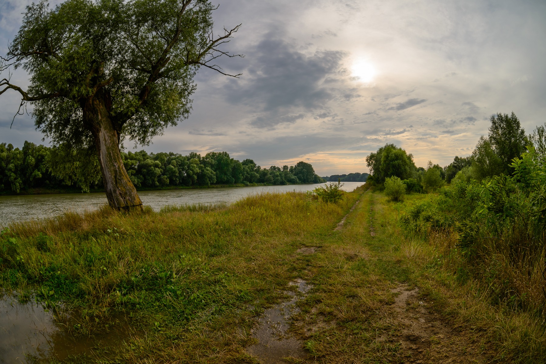 Природа Краснодарского края река Кубань