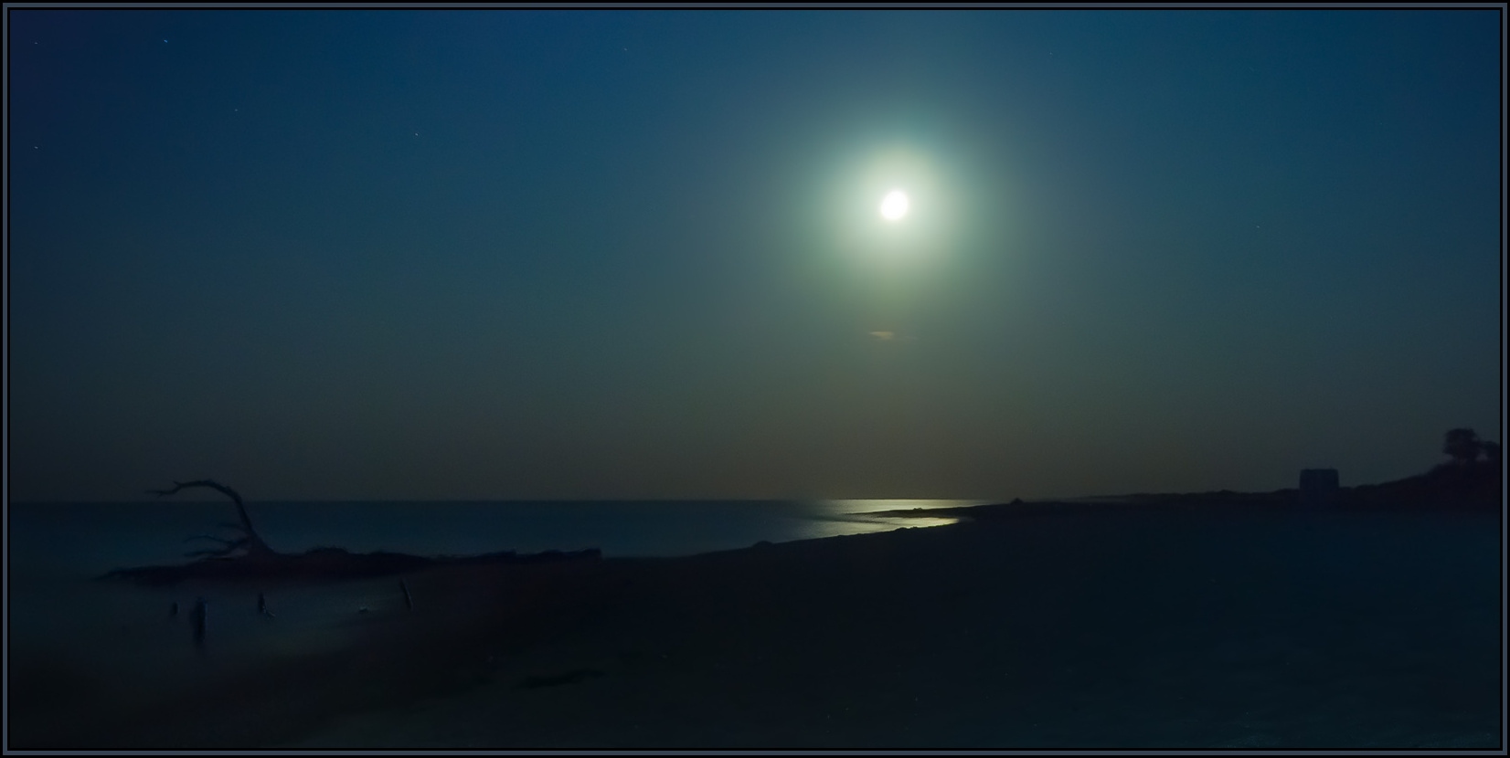 Лунный свет | Фотограф Александр Тхорев | foto.by фото.бай
