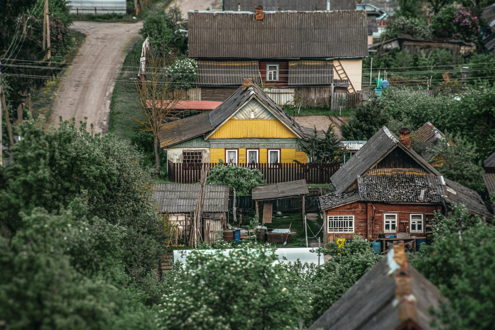 Фотограф Мария Войтик, фотография от 12.08.2026