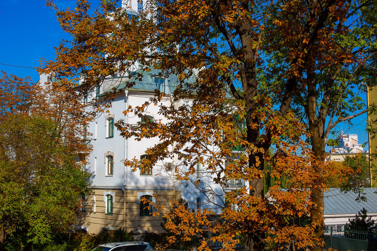 Фотограф Борис Карасик, фотография от 19.11.2019