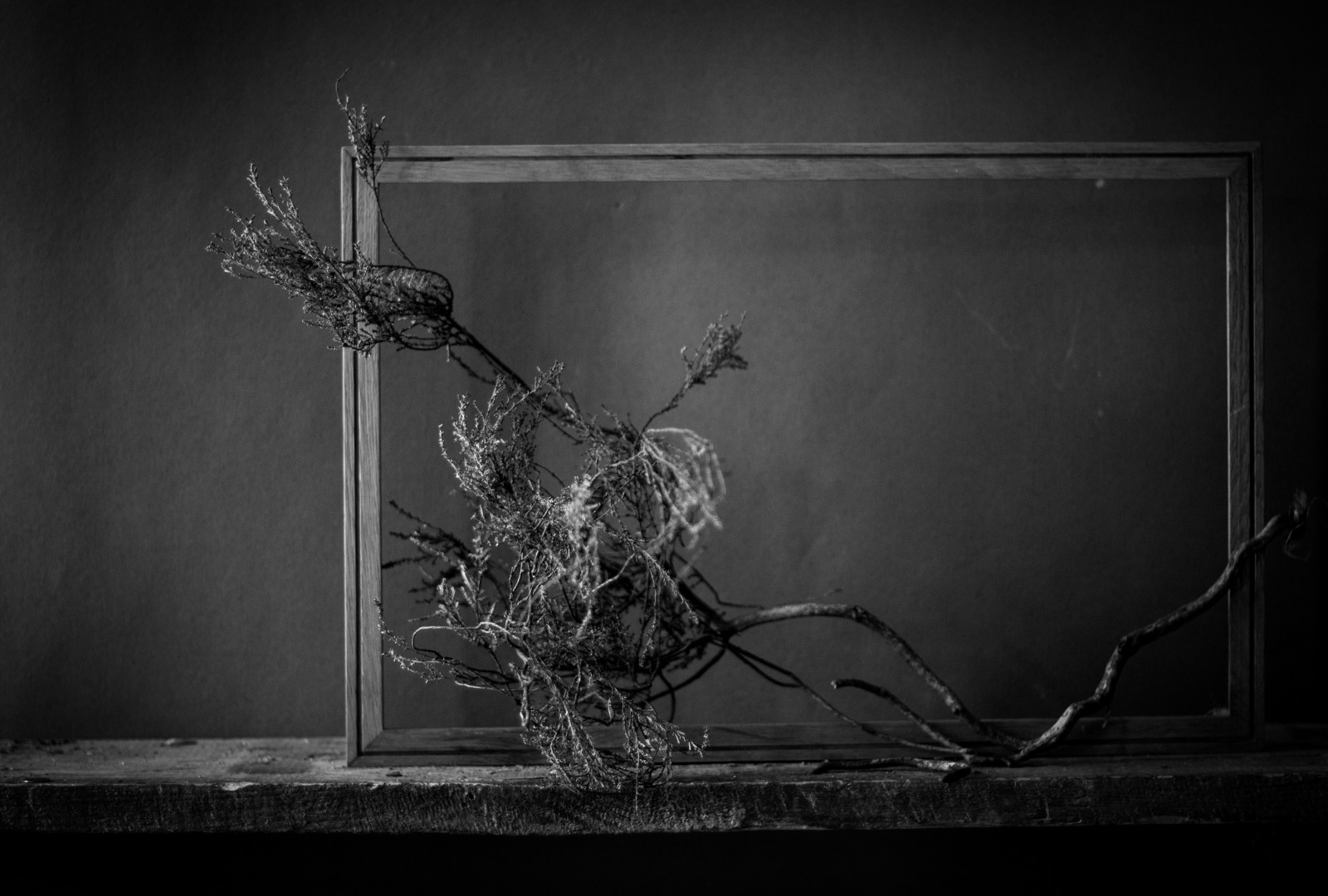 Фотограф Павел Есипенко, фотография от 02.01.2026