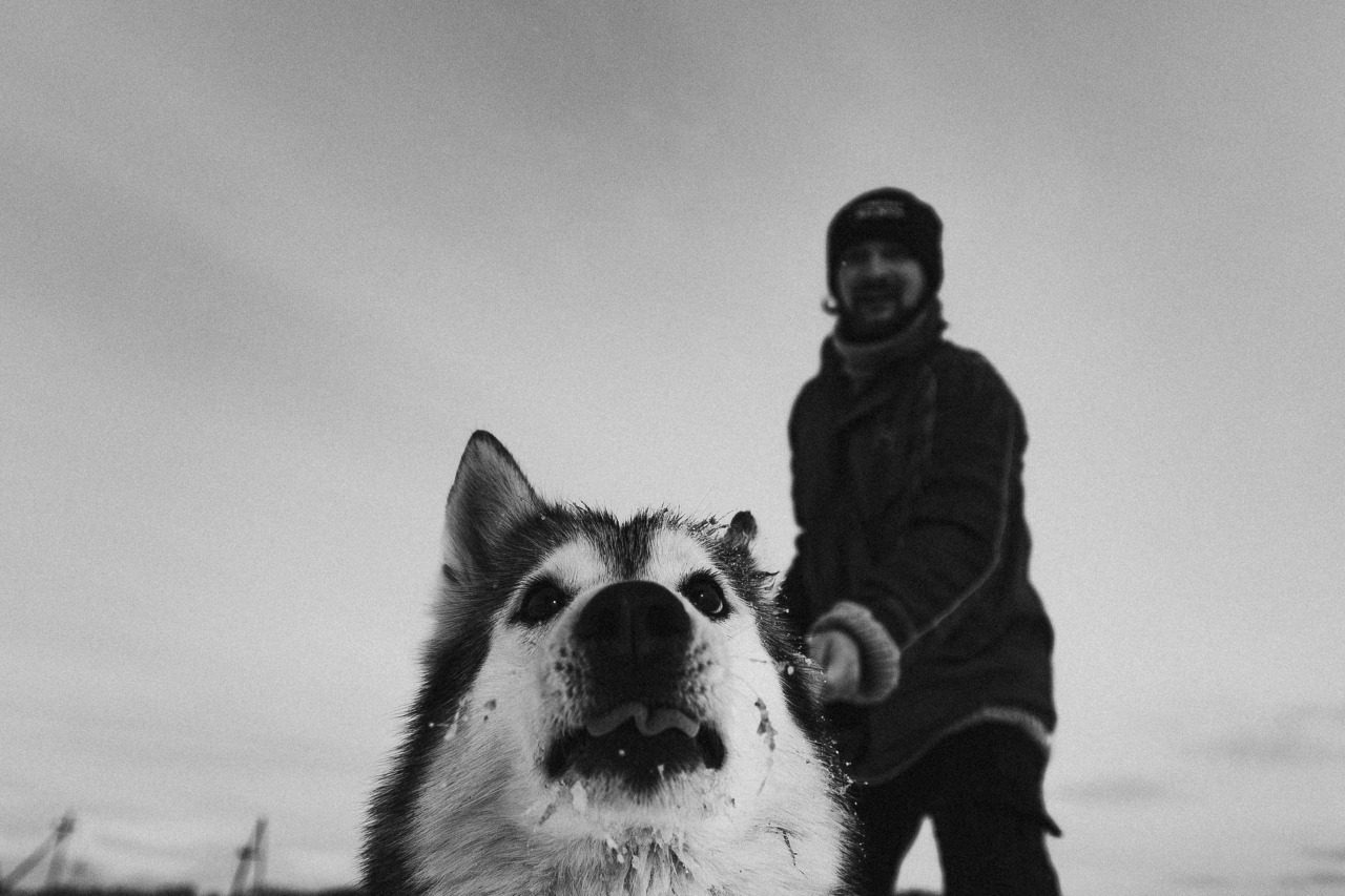 Фотограф в Минске - семейный, свадебный, репортажный фотограф. Фотосъёмка крещения, дня рождения, юбилея, венчания, корпоратива в Минске., фотография от 18.02.2026