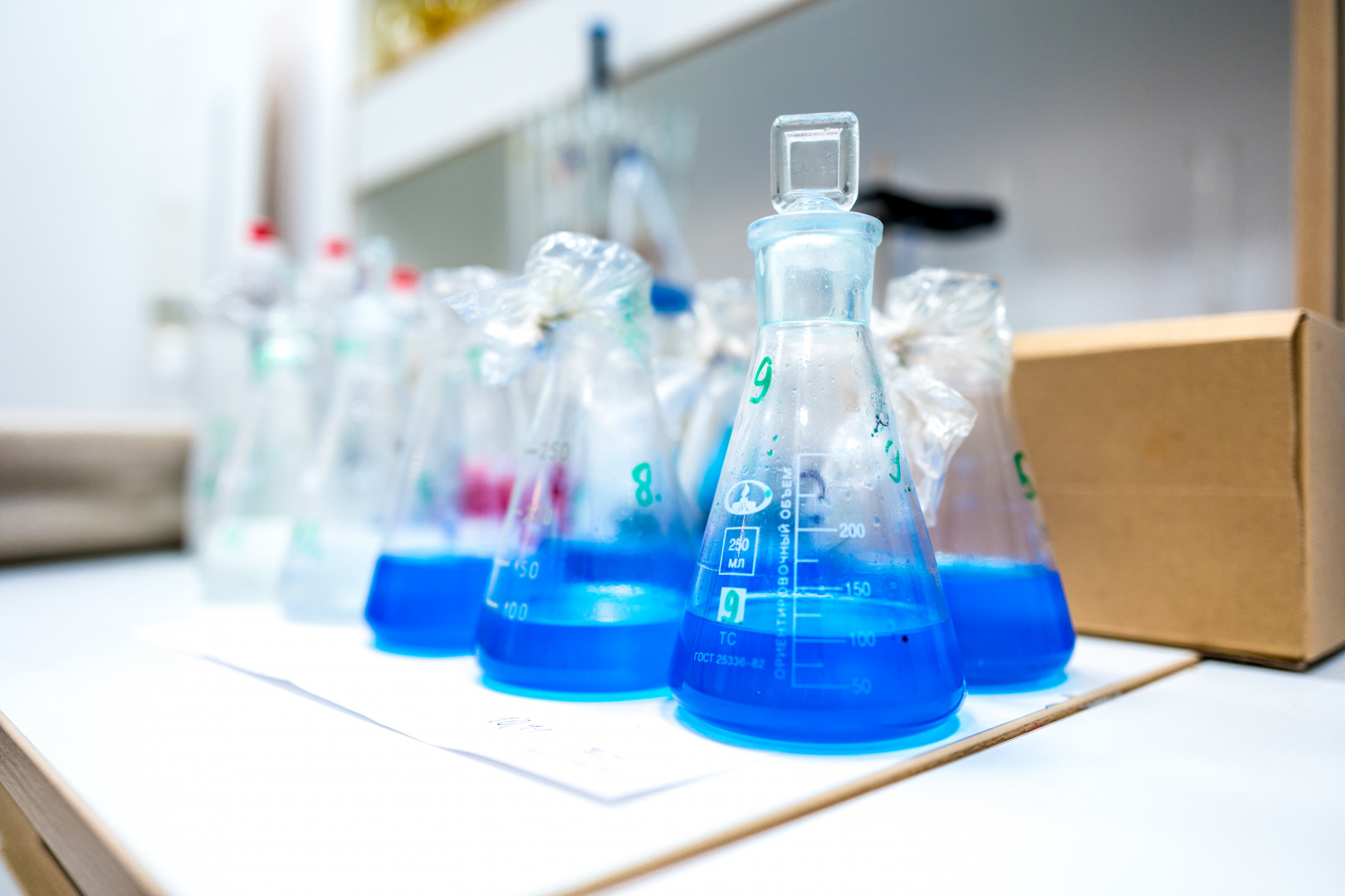 Фотограф Катерина Сиводедова, фотография от 16.04.2026