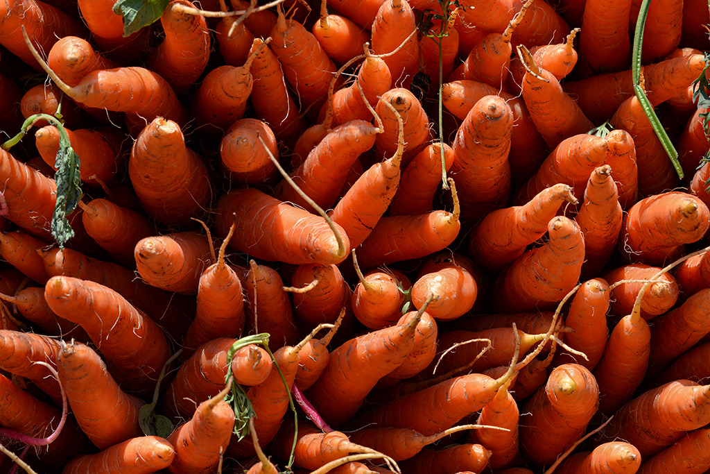 *** | foto.by фото.бай