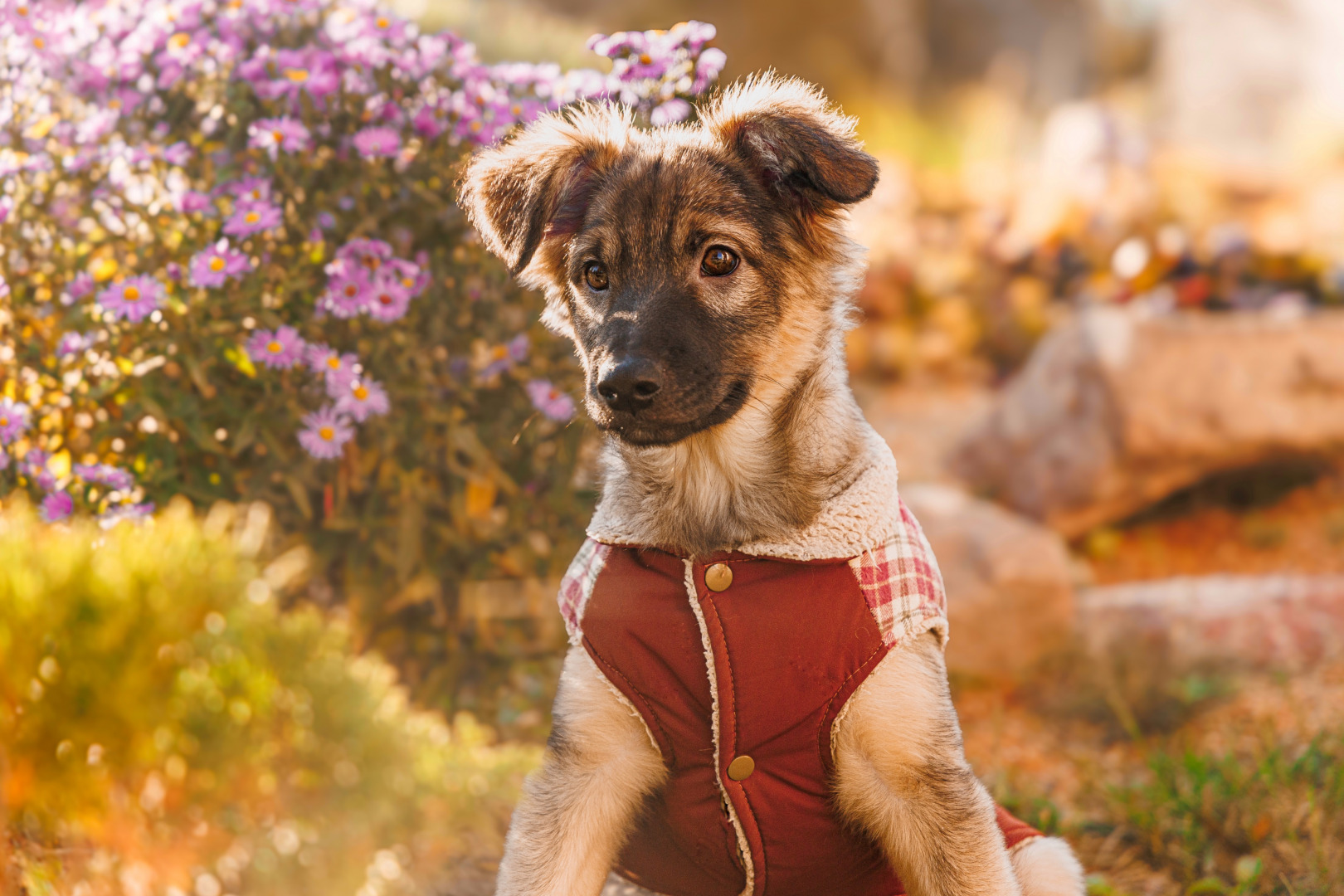 Фотограф Ульяна Третьякович, фотография от 08.10.2025