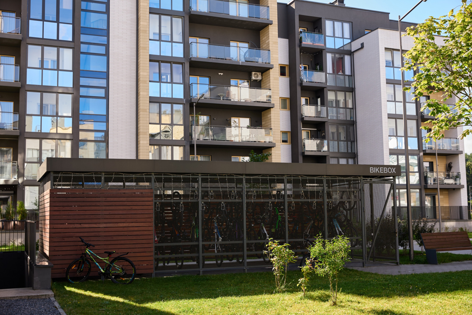 Фотограф Илья и Юлия Ширмановы, фотография от 17.12.2025