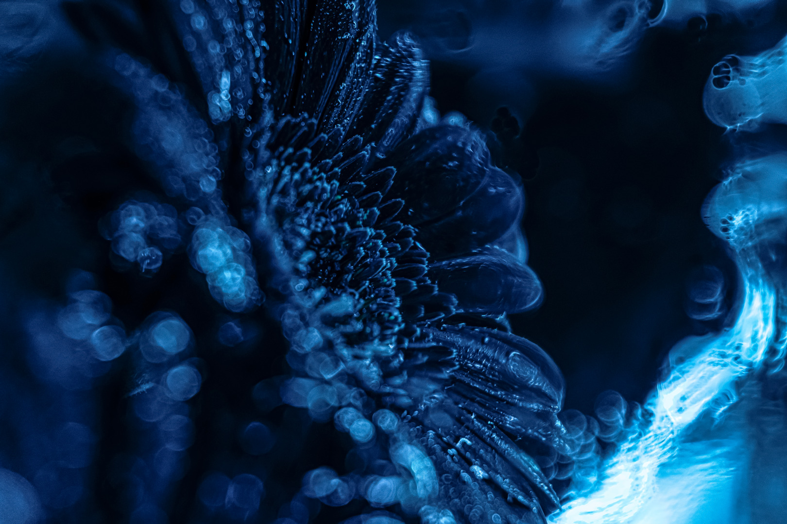 Фотограф Мария Войтик, фотография от 06.08.2026