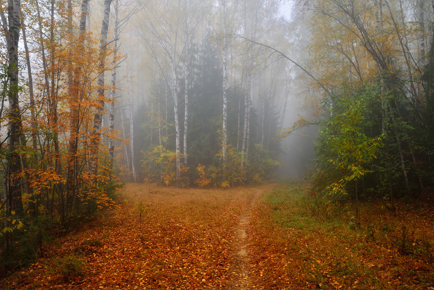 осень... | Фотограф Виталий Полуэктов | foto.by фото.бай