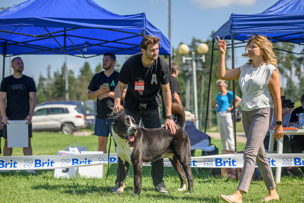 Контент-фотограф, промышленный фотограф, фотограф животных в городе Минск - Сергей Клеменок, фотография от 17.02.2026