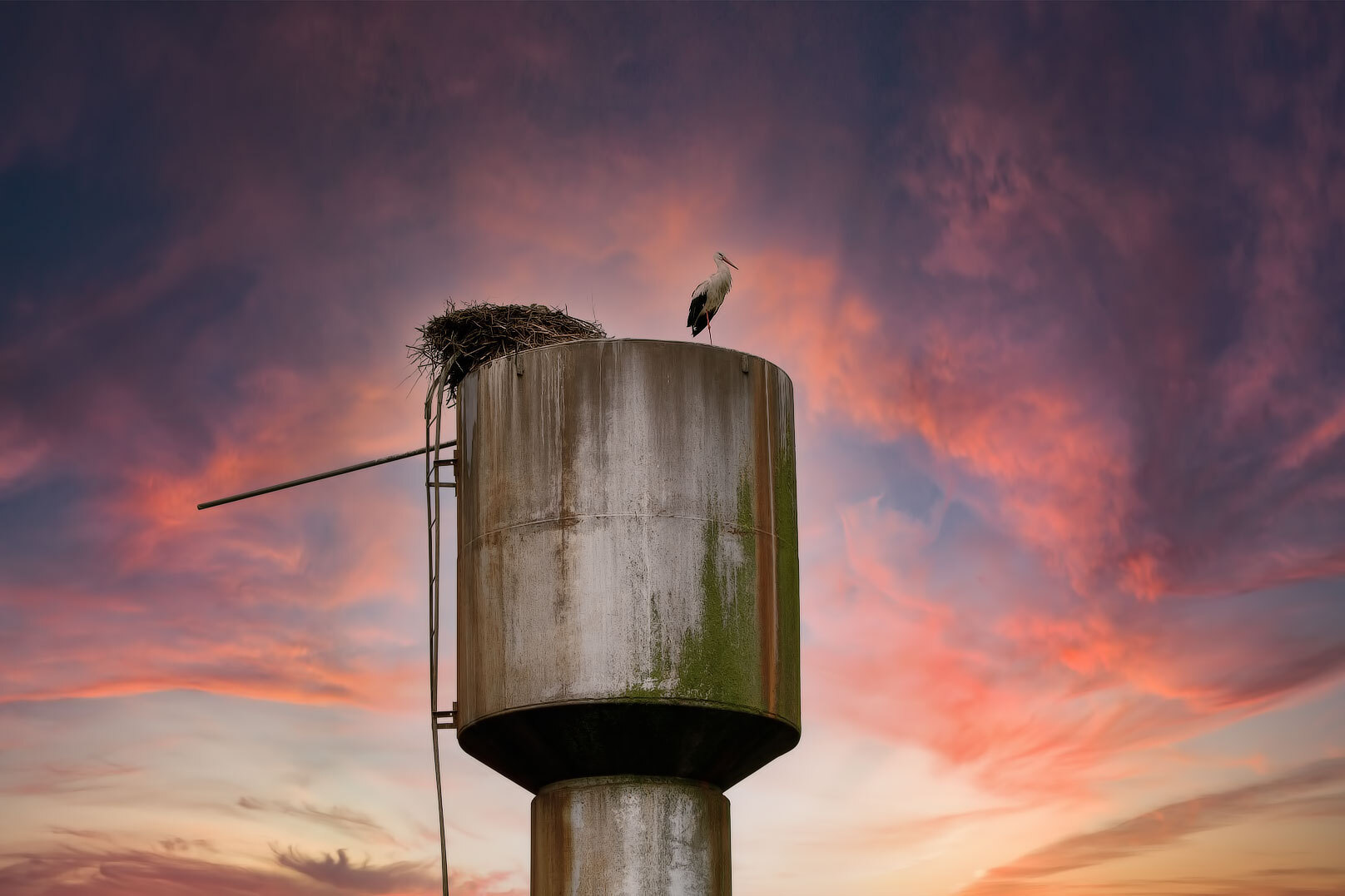 Символ | foto.by фото.бай