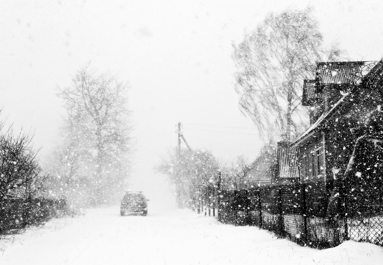 Снегопад | Фотограф Ольга Бородина | foto.by фото.бай