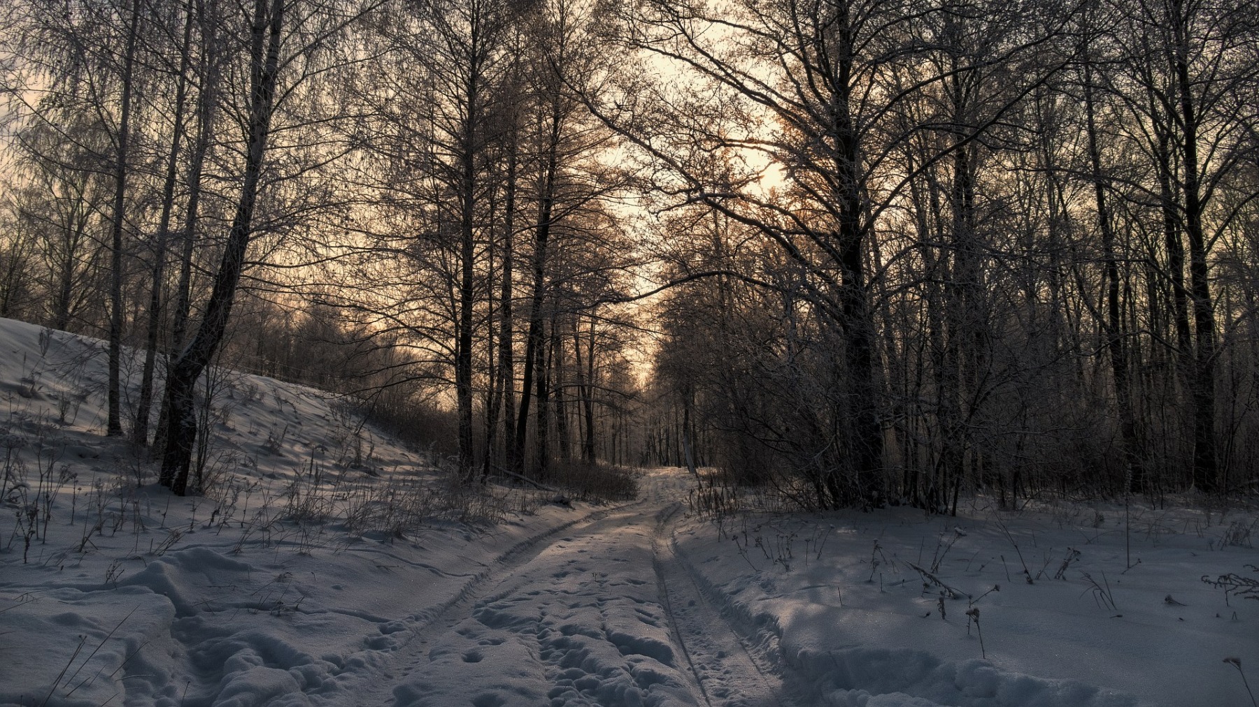 **Зимний.Лесной** | Фотограф Александр Чиж | foto.by фото.бай