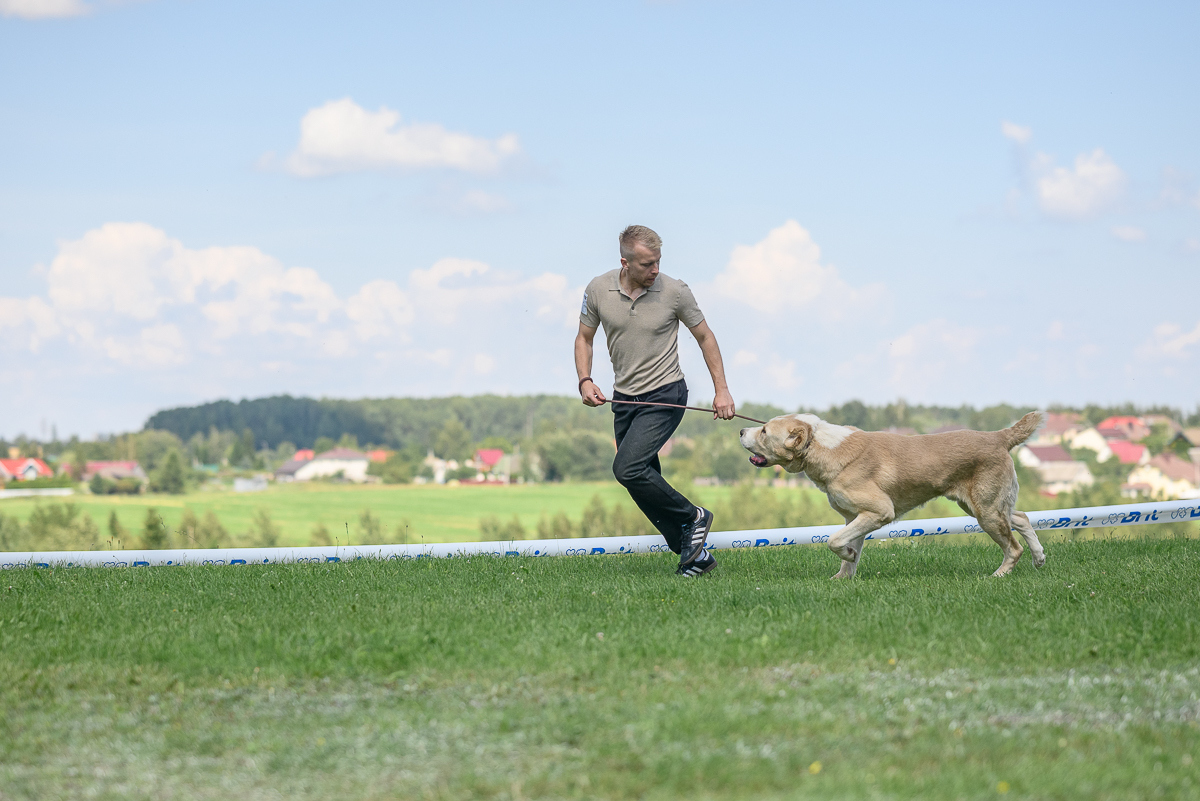 Контент-фотограф, промышленный фотограф, фотограф животных в городе Минск - Сергей Клеменок, фотография от 17.02.2026