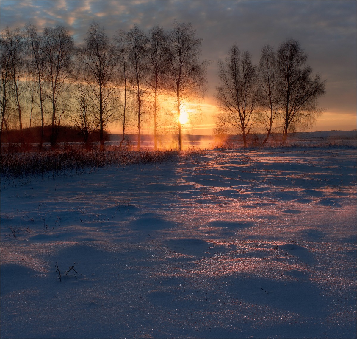 Утро в январе | Фотограф Сергей Шабуневич | foto.by фото.бай