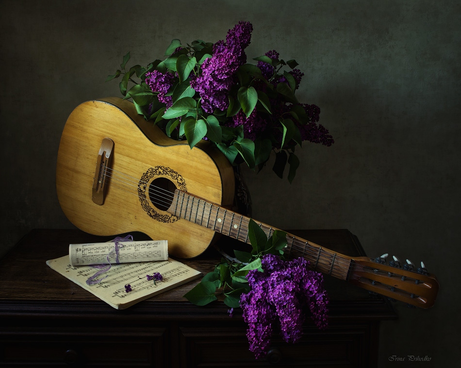 О чем рассказала старая гитара | Фотограф Ирина Приходько | foto.by фото.бай