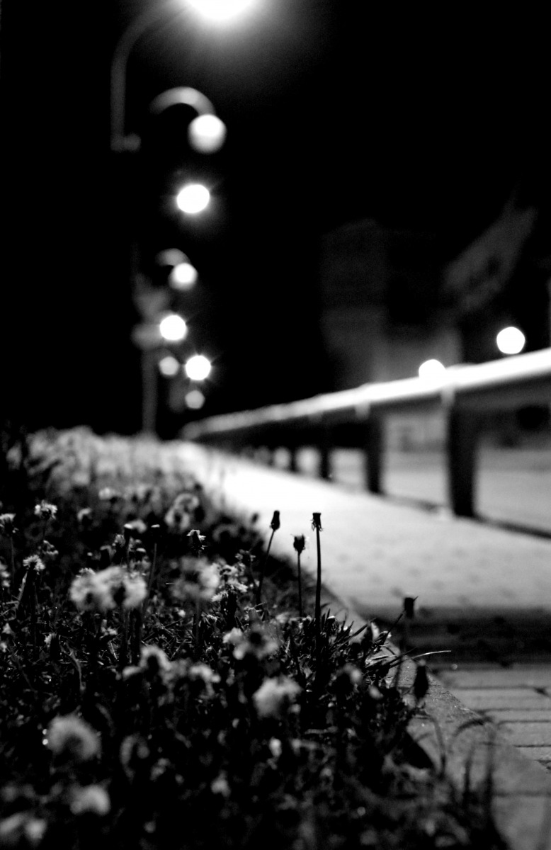 El camino | Фотограф Александра Ветер | foto.by фото.бай