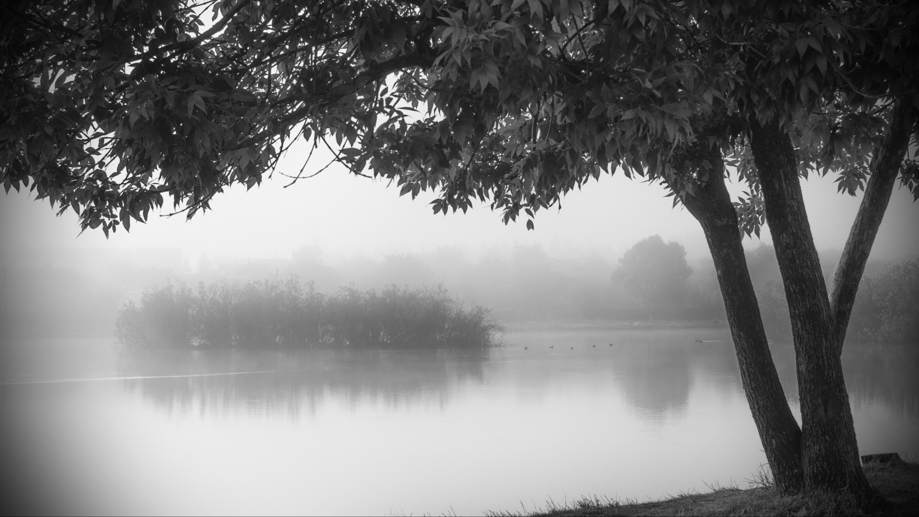 Утро около озера | Фотограф Сергей Ласута | foto.by фото.бай