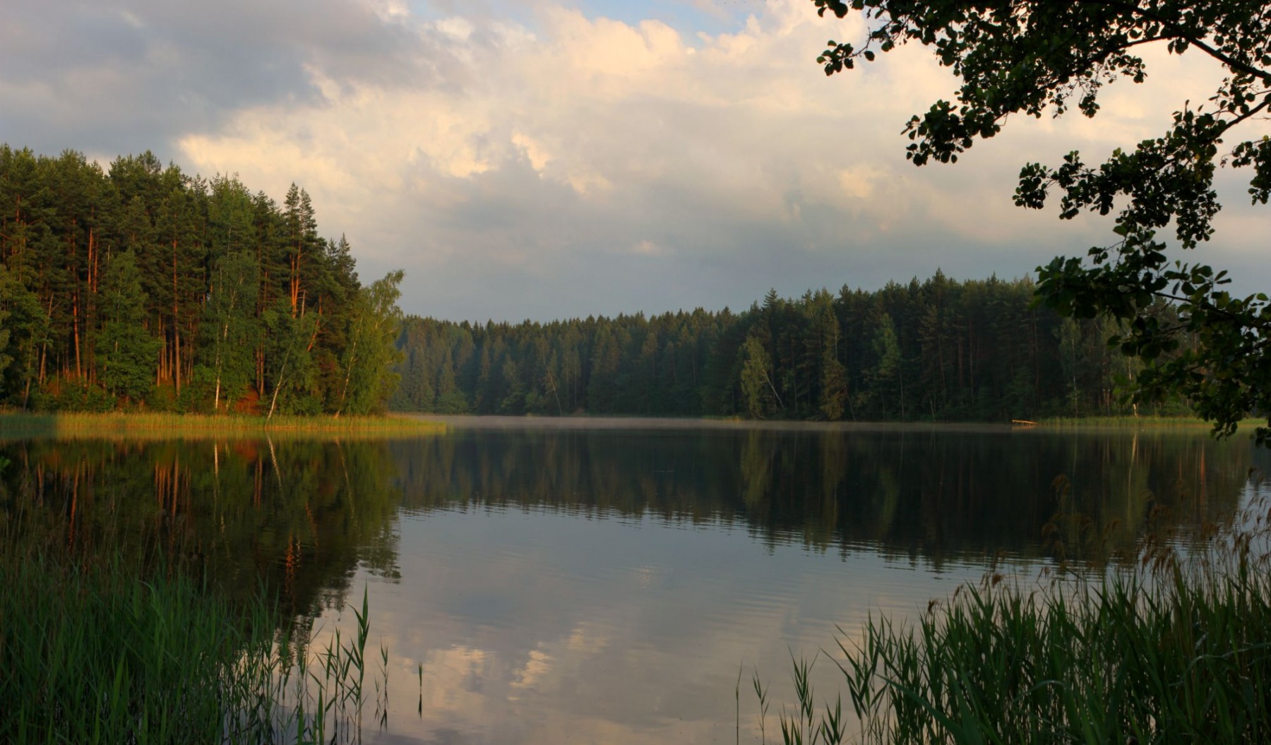 озеро Кривое | Фотограф Виталий Некрашевич | foto.by фото.бай
